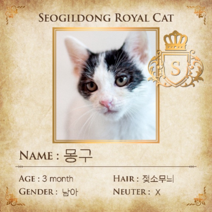 KakaoTalk_20230723_232939290_03.jpg