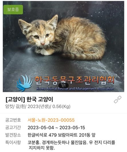 KakaoTalk_20230601_164642435(1).jpg