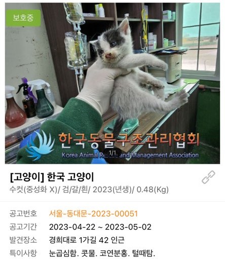 KakaoTalk_20230609_142359419_01(1).jpg
