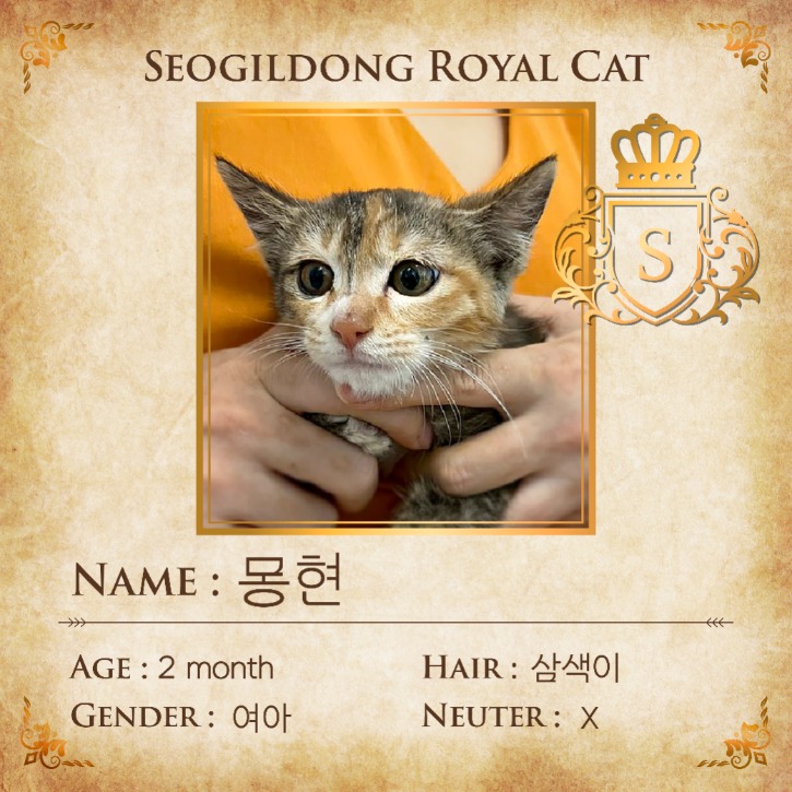 KakaoTalk_20230610_132353357_05.jpg